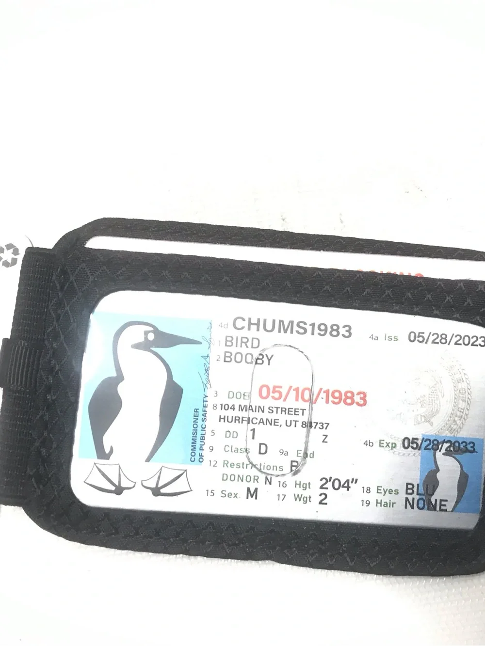 Chums Bandit Bi-Fold Wallet Mens Black RFID Blocking ID Window Magnetic Closure